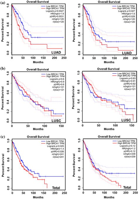 Survival Analysis Of Brca In Lung Cancer Ac Kaplanmeier Curve