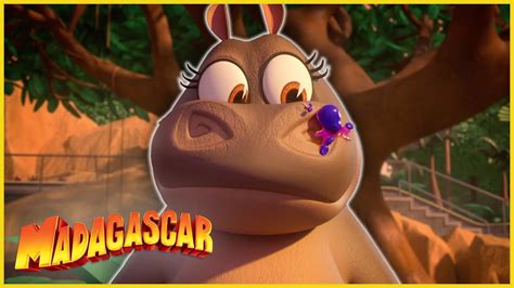 Ser Ni Era Es M S Dif Cil De Lo Que Parece Dreamworks Madagascar En