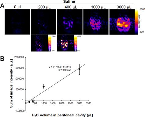 Selective Imaging Of Malignant Ascites In A Mouse Model Of Peritoneal