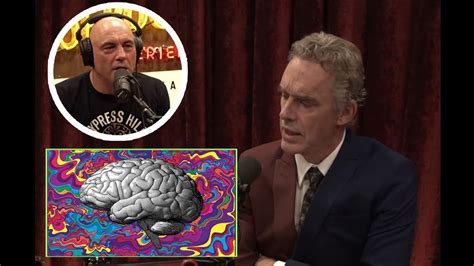 Jordan Peterson Explains What Happens Inside Your Mind When Using