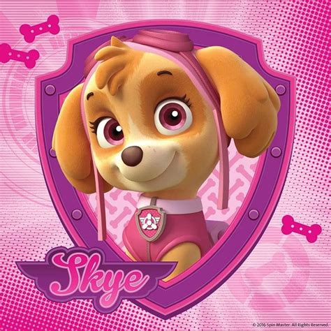 Fondos De Pantalla De Skye La Adorable Cachorra De Paw Patrol Para