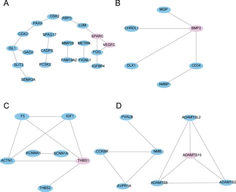 Map Of Proteinprotein Interaction Networks In Clusters 22a 25 B