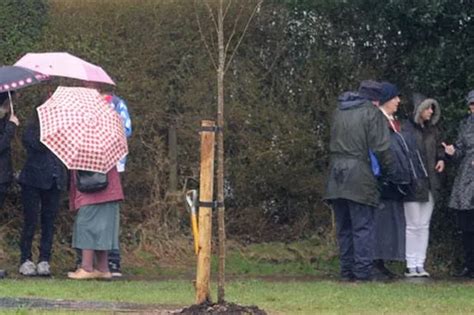 Tribute Service Held In Memory Of Iconic 22st Cardiff Sheep Nick Boing