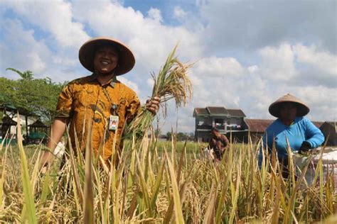 Wawancara Direktur Ppk Pedaringan Logistik Menyelamatkan Kami Pau