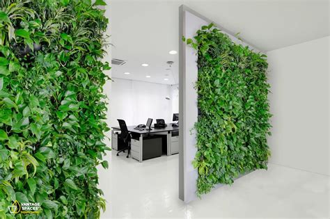 Living Plant Walls Vantage Spaces