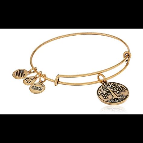 Alex And Ani Jewelry Alex And Ani Tree Of Life Bangle Poshmark