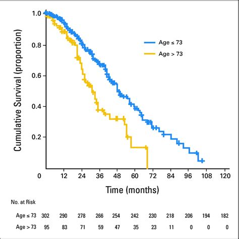 Cumulative Survival Rates By Age Kaplan Meier Estimation Technique