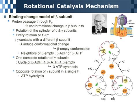 PPT - Rotational Catalysis Mechanism PowerPoint Presentation, free download - ID:4689776