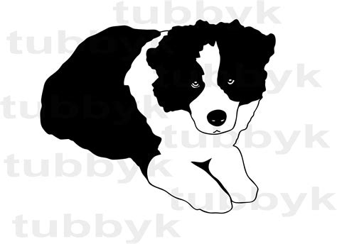 Border Collie Clip Art Border Collie Svg Dog Clip Art Dog Svg Puppy