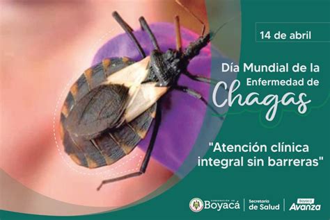 14 de abril Día Mundial de la Enfermedad de Chagas Atención clínica