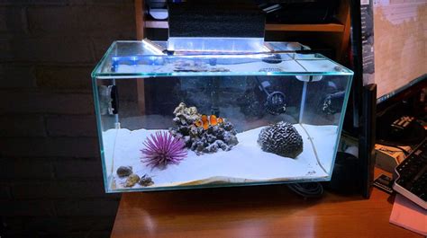 Fluval Edge Led Acuario Marino Lts En Mercado Libre