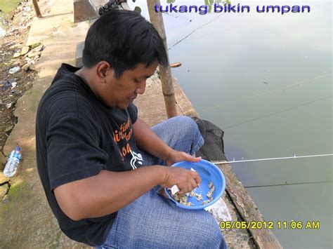 Umpan mancing ikan mas murah meriah - Get Strike Now