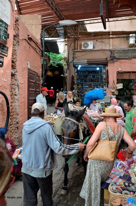 Cosa Vedere A Marrakech E Dintorni Guida Alla Visita Vexplo