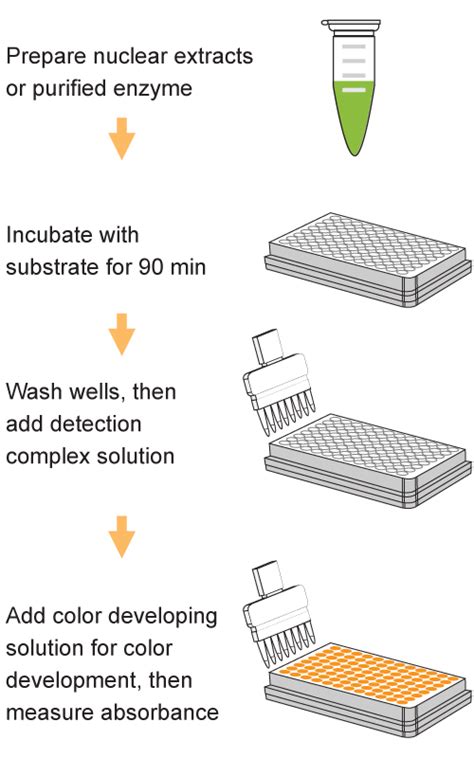 Epiquik Dnmt Activity Inhibition Elisa Easy Kit Colorimetric Epigentek