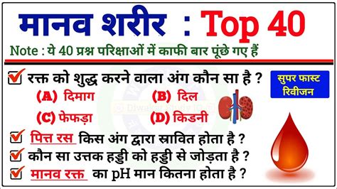 Biology Gk मानव शरीर टॉप 40 प्रश्न Science Gk Quiz Biology Gk Quiz Gk Quiz In Hindi