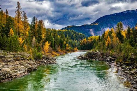 Clima de montaña qué es características tipos flora y fauna Resumen