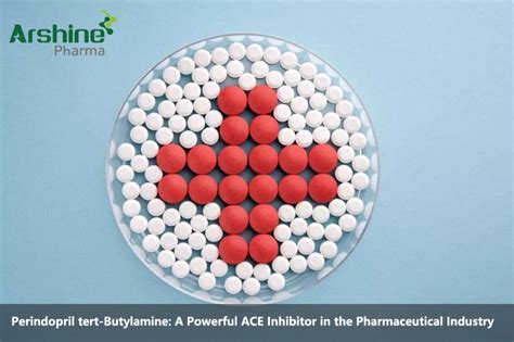 Perindopril Tert Butylamine A Powerful Ace Inhibitor In The