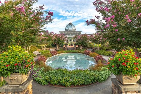 Summer Blooms Bright Spots Lewis Ginter Botanical Garden