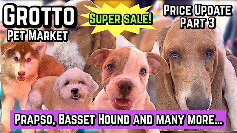 Grotto Pet Market Part March San Jose Del Monte Bulacan