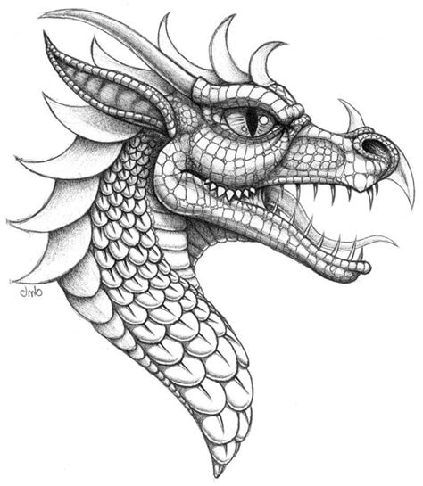 Dragon Drawing In Pencil At Getdrawings Free Download