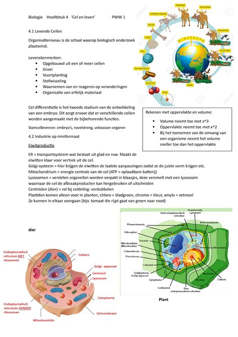 Biologie V Samenvatting Hoofdstuk Cel En Leven Rekenen Met