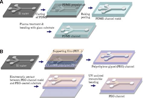 Figure 1 From Soft Lithography For Microfluidics A Semantic Scholar