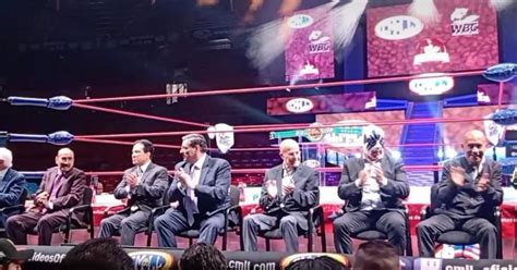 El Consejo Mundial De Boxeo Y El Consejo Mundial De Lucha Libre