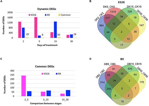 Frontiers Analysis Of Dynamic Global Transcriptional Atlas Reveals