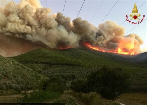 Pisa Incendio Sul Monte Serra Oltre Ettari Di Bosco Andati In Fumo