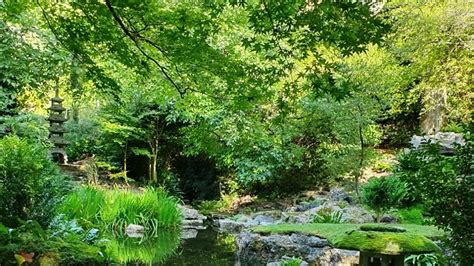 Viaggio Nel Somerset Dentro Il Giardino Segreto Di Colin Firth