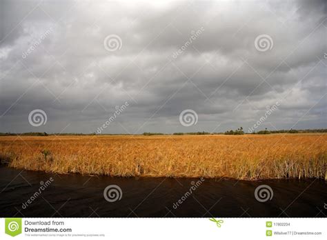 Paisagem Grande De Cypress Foto De Stock Imagem De Turismo