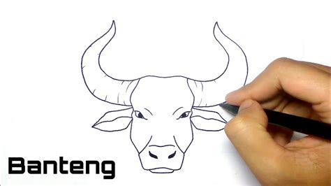 Cara Menggambar Kepala Banteng Gudang Materi Online