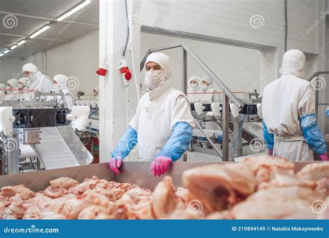 Group Of Workers Working At A Chicken Factory Food Processing Plant