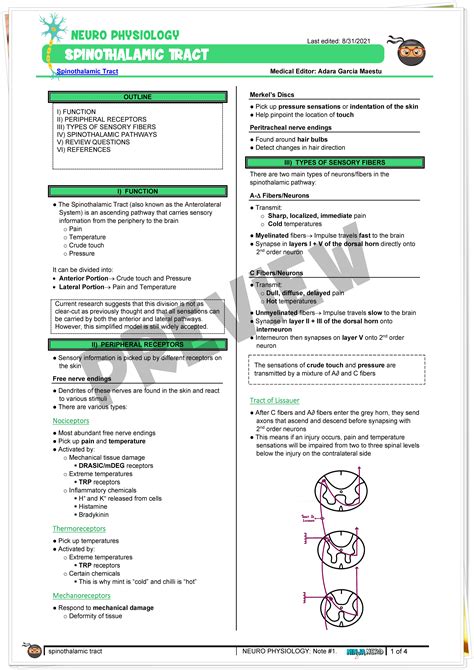 Ascending Tracts Spinothalamic Tract Notes Ninjanerd Medicine