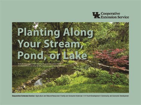 Planting Along Your Stream Pond Or Lake Extension Publications