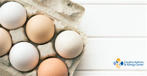 Egg Allergies Symptoms Treatments And Substitutions Caac