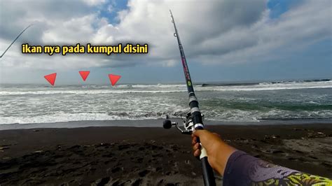 Mancing Pasiran Jogja Begini Jadinya Kalau Ketemu Rombongan Ikan