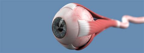 Best Eye Stem Cell Treatment Center In India