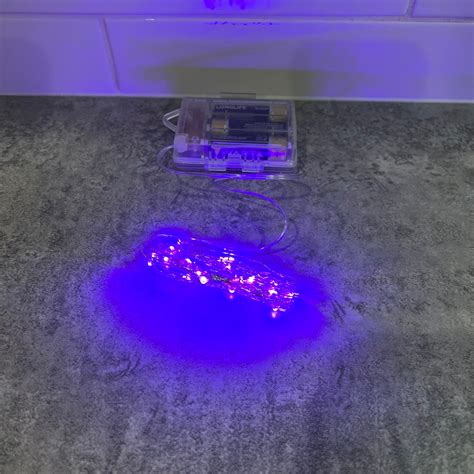 Purple Seed Lights Christmas Obsession