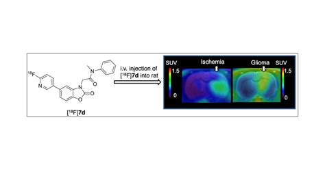 Development Of A F Labeled Radiotracer With Improved Brain Kinetics