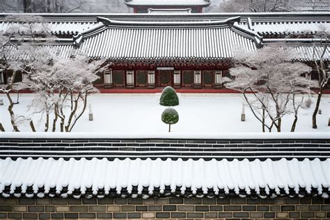 논을 향해 걸어가는 전통적인 아시아 여성 풀밭에서 길을 따라 걷는 파라솔을 들고 있는 여성의 뒷모습 고화질 사진 사진 배경