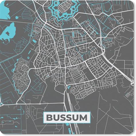 Plattegrond Bussum Grijs Blauw Stadskaart Bol