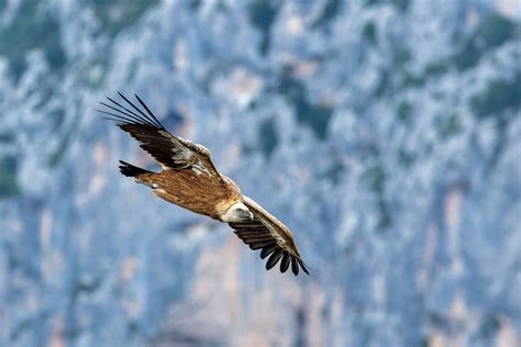 Gorges Du Verdon Gregory Vallee Photography