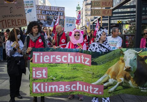 VIER PFOTEN demonstriert bei weltweitem Klimastreik für mehr Tierschutz