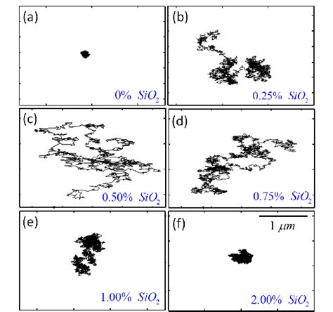 Single particle trajectories of polystyrene tracer particles 0 49µm in