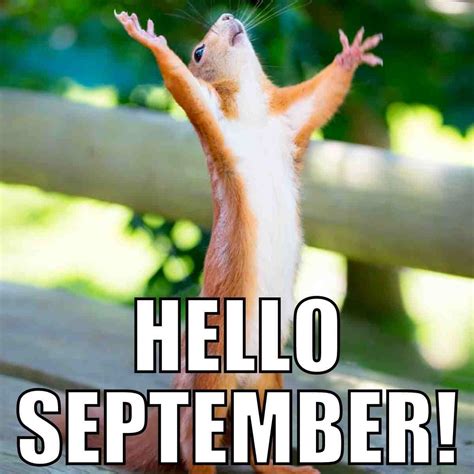 September Meme Discover More Interesting Happy Moon September Summer