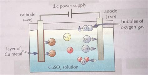 Paper The Electrolysis Of Aqueous Solutions Flashcards Quizlet