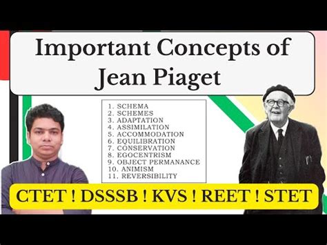 Important Concepts Of Jean Piaget Schema Assimilation Accommodation