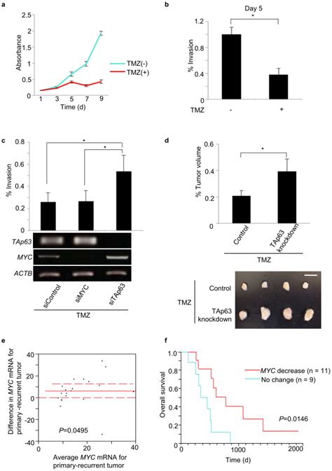 A Cell Viability Assay Showing Suppression Of Proliferation In Cells