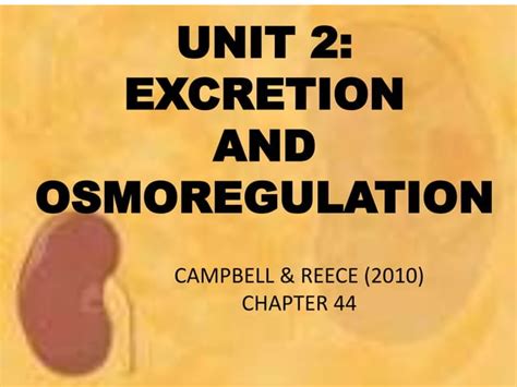 Unit 2 Excretion And Osmoregulation Ppt